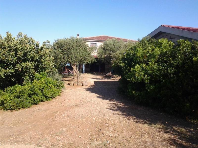Agriturismo Sa Murta In Sennariolo-Oristano Exterior photo